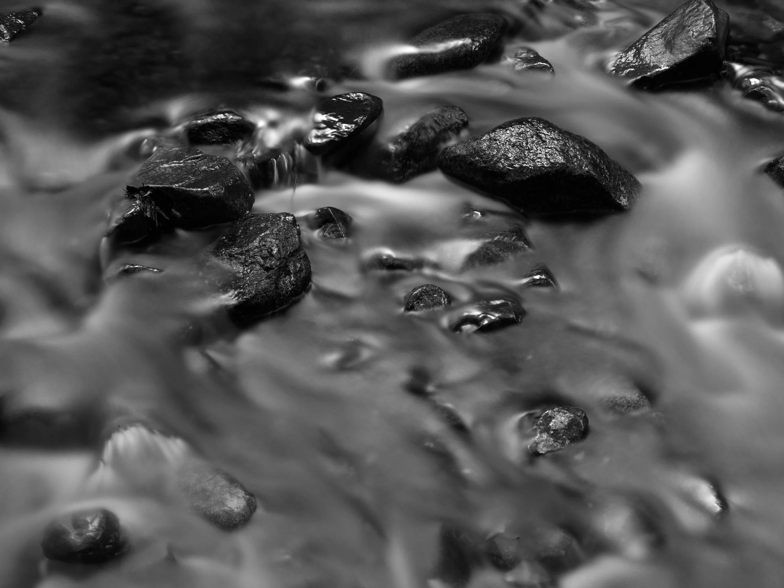 Rain-forest Stream VI